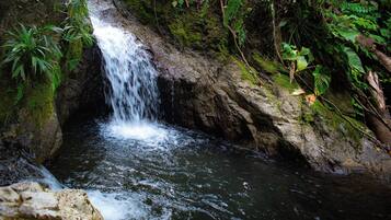 Una cascada en un área boscosa con terreno rocoso y abundante vegetación.