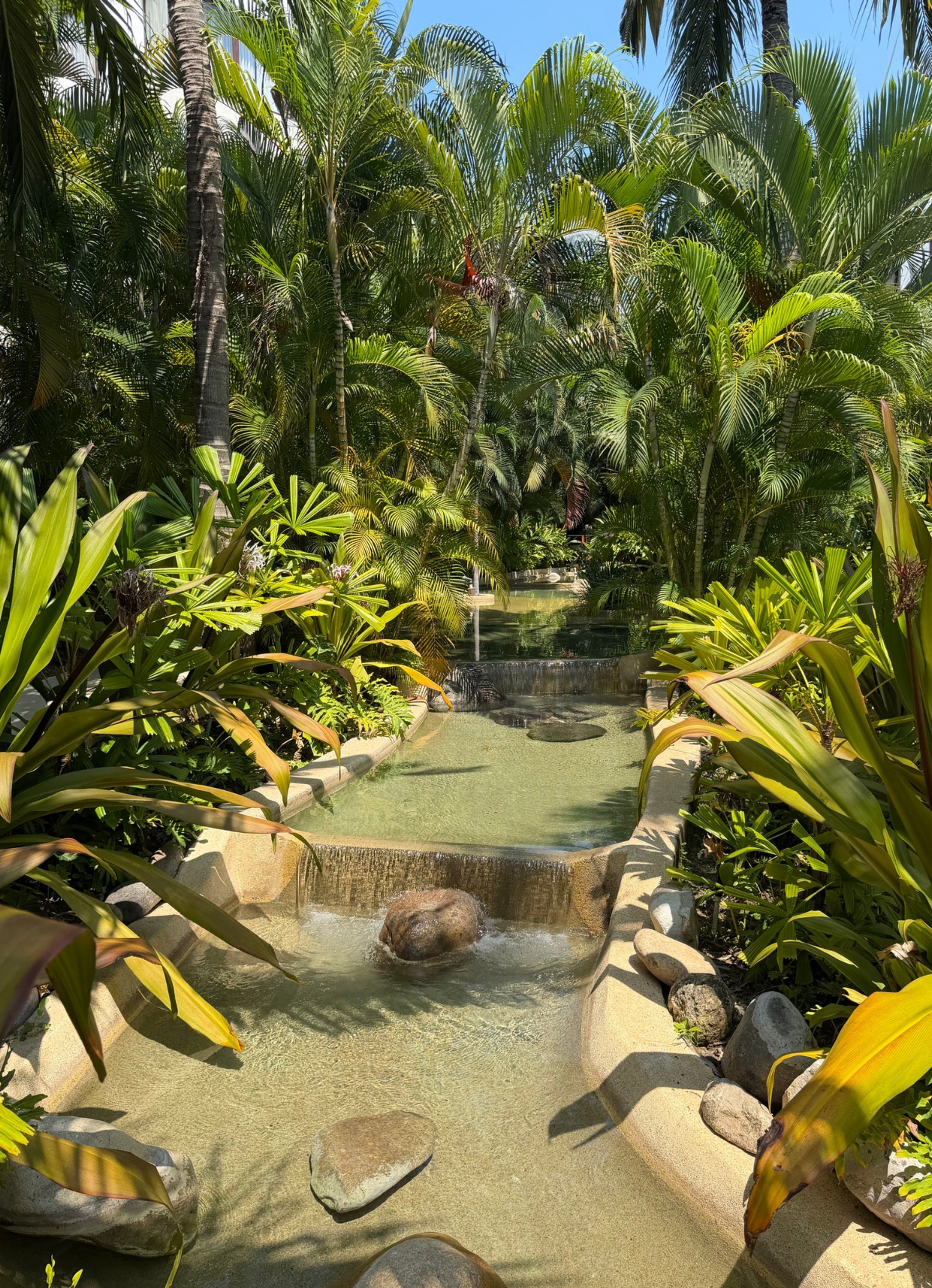 Un jardín tropical con una fuente de agua, que incluye una pequeña cascada y un estanque.