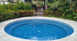 A circular pool with a clear blue center, surrounded by a tiled edge and lush greenery.