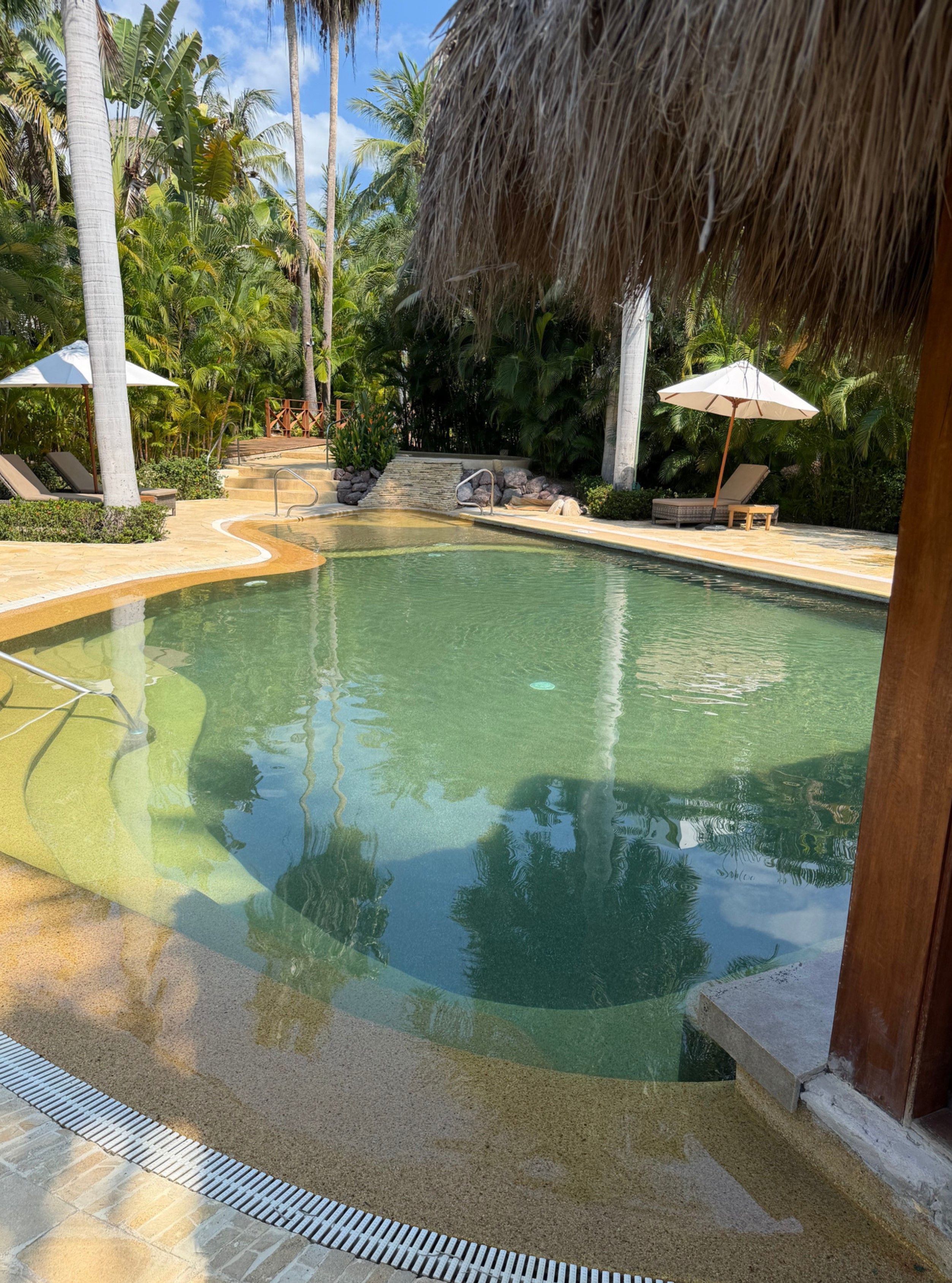Una piscina con borde de piedra, rodeada de sillones de playa y sombrillas, con palmeras al fondo.