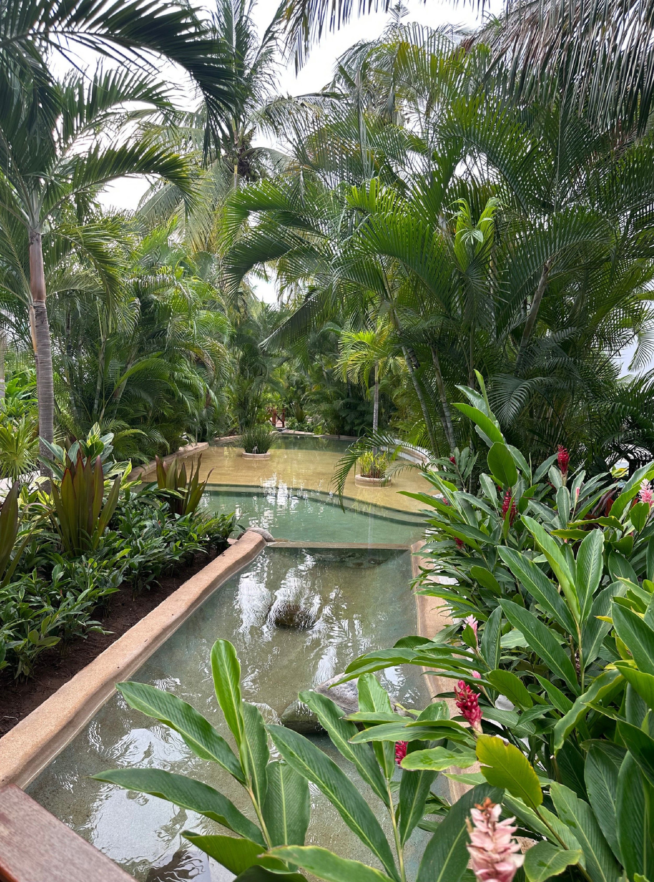 A tropical garden with a water feature, lush greenery, and a variety of plants.