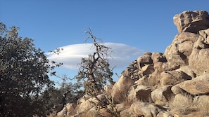 A rocky landscape with a clear sky and a tree in the foreground.