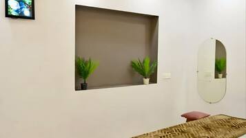 A bedroom with a bed, ceiling fan, recessed lighting, a wall-mounted mirror, and two potted plants.