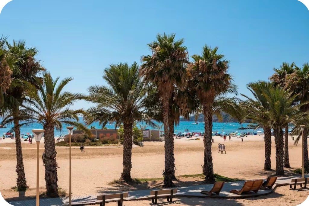 Una spiaggia con palme, una riva sabbiosa e un mare cristallino.