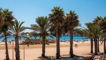 Una spiaggia con palme, una riva sabbiosa e un mare cristallino.