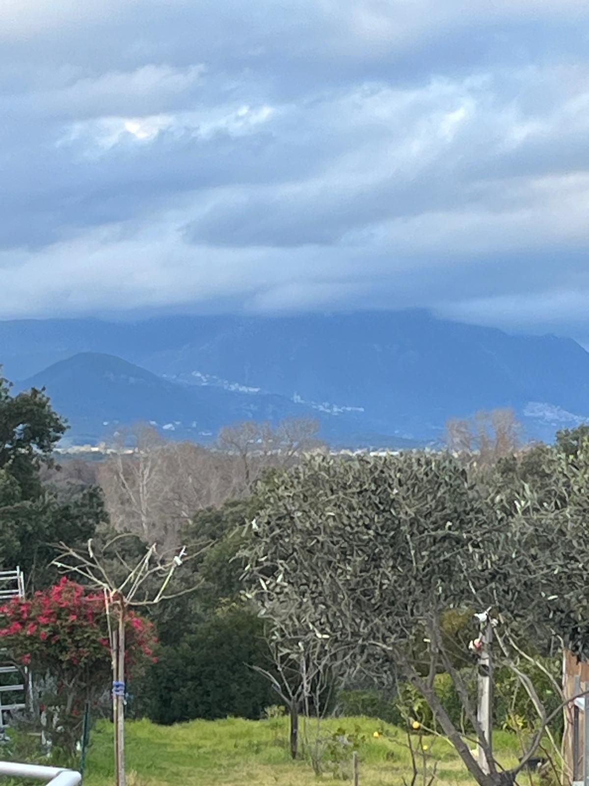 Un paisaje con vistas a montañas distantes, un árbol sin hojas y una zona cubierta de hierba.