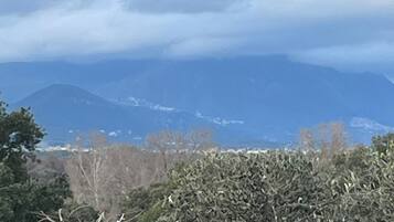 Un paisaje con vistas a montañas distantes, un árbol sin hojas y una zona cubierta de hierba.