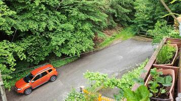 En bil parkeret langs en vej omgivet af frodig vegetation.