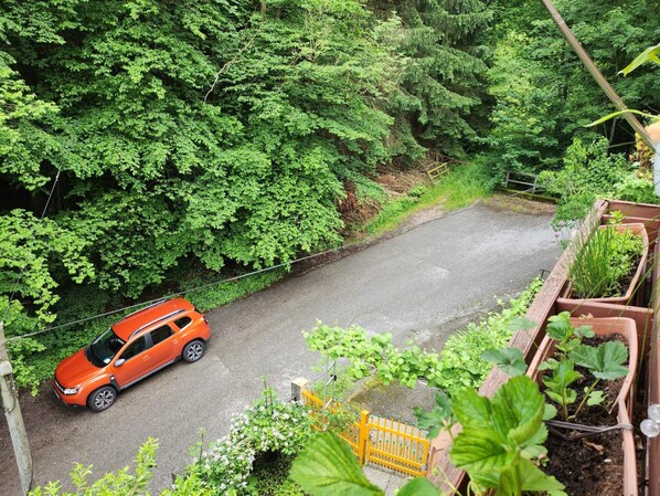 A car parked on a road surrounded by dense green foliage.