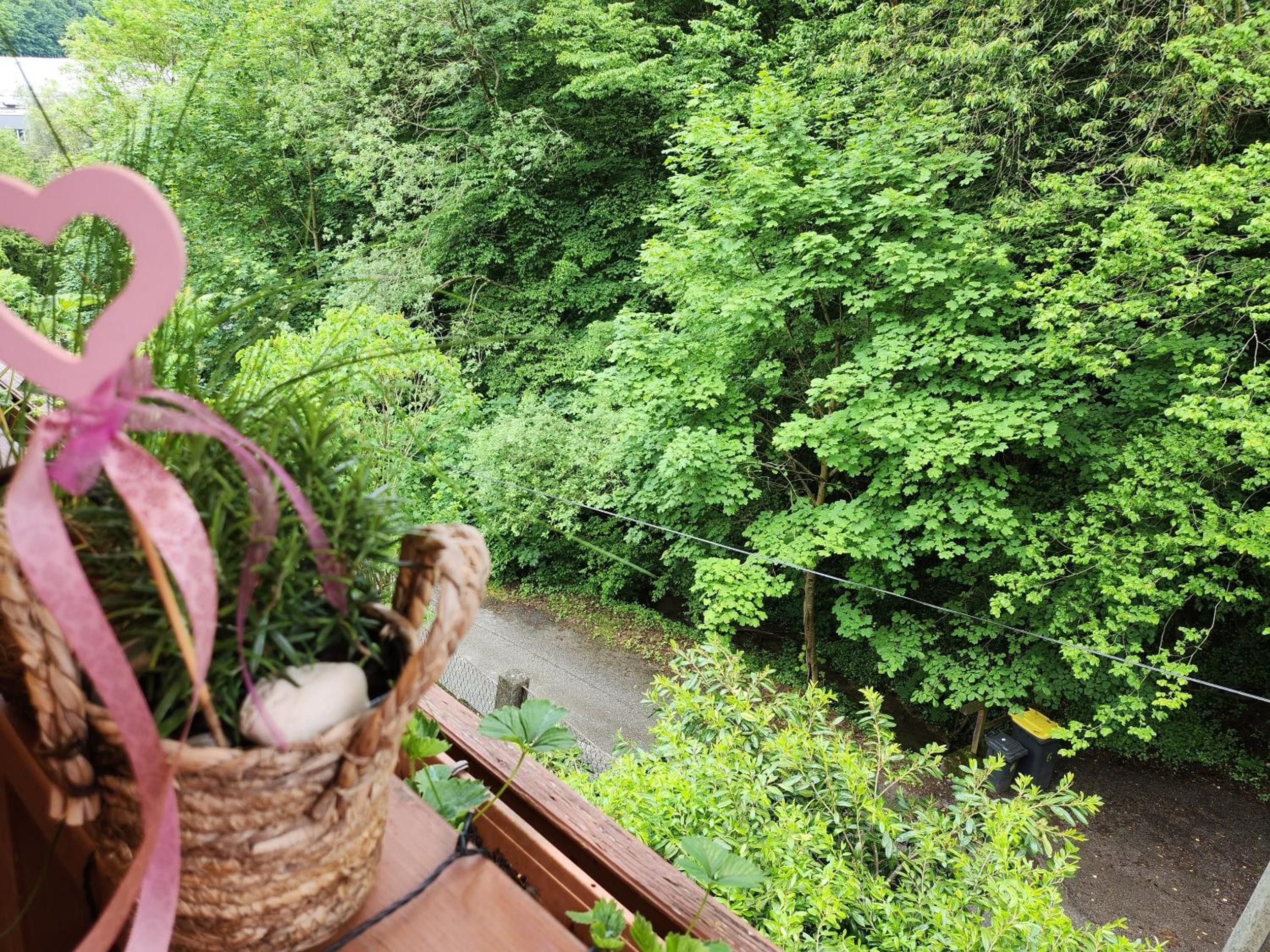 A balcony with a view of a lush green forest.