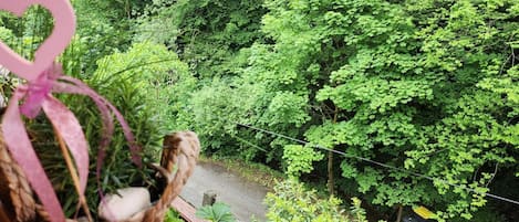 Un balcon donnant sur une forêt verdoyante et luxuriante.