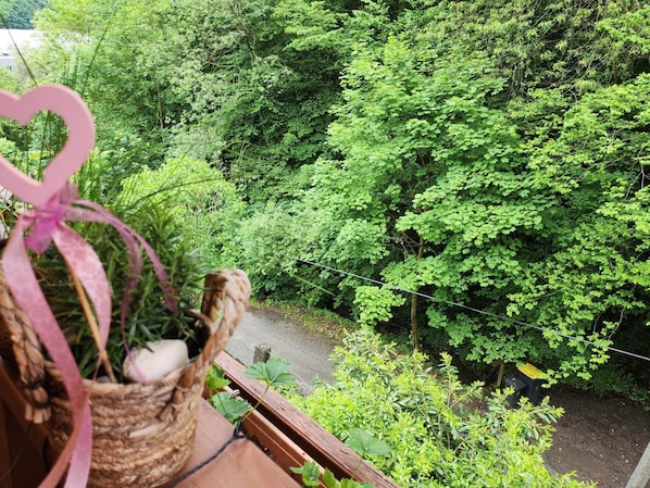 A balcony with a view of a lush green forest.