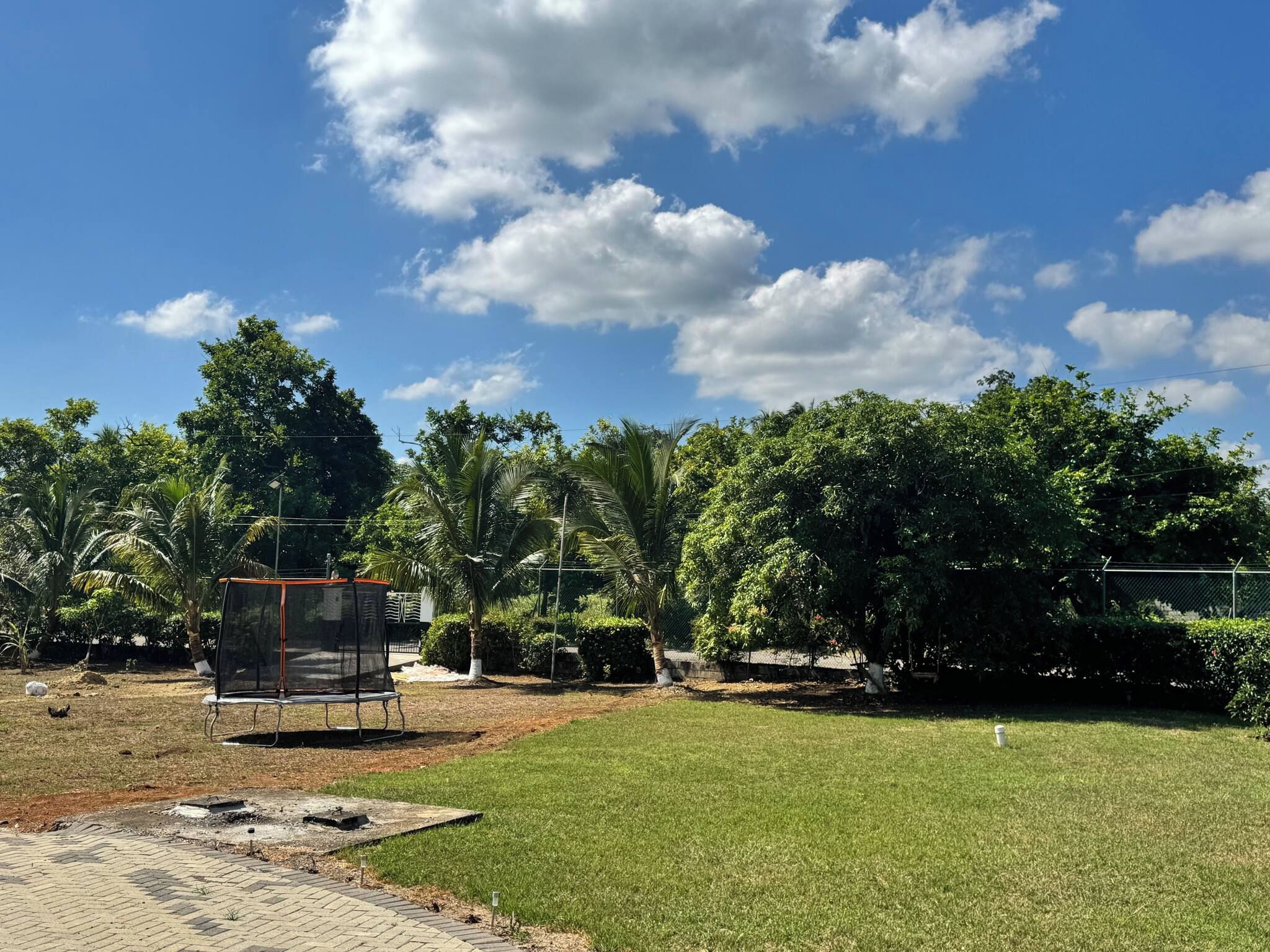 A grassy outdoor area with a fenced enclosure, trees, and a clear sky.