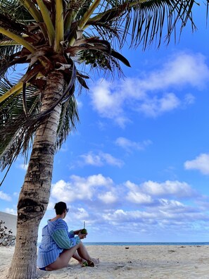 A beach scene with a palm tree and a person sitting on the sand. - Stunning Beachfront 2-bedroom Condo (Punta Cana)