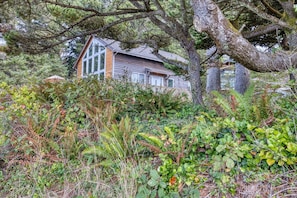 Ein Haus, umgeben von dichter Vegetation.