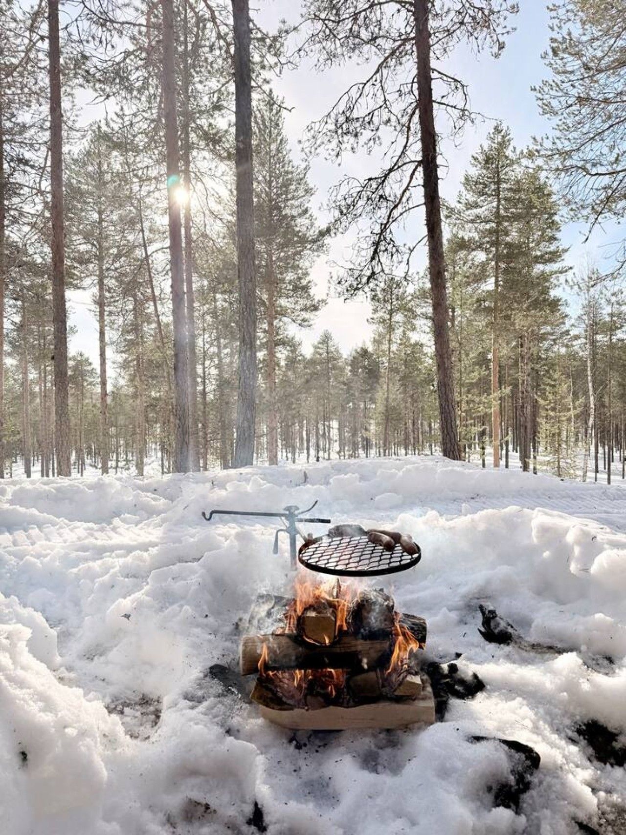 A campfire in a snowy forest with a grill above it.