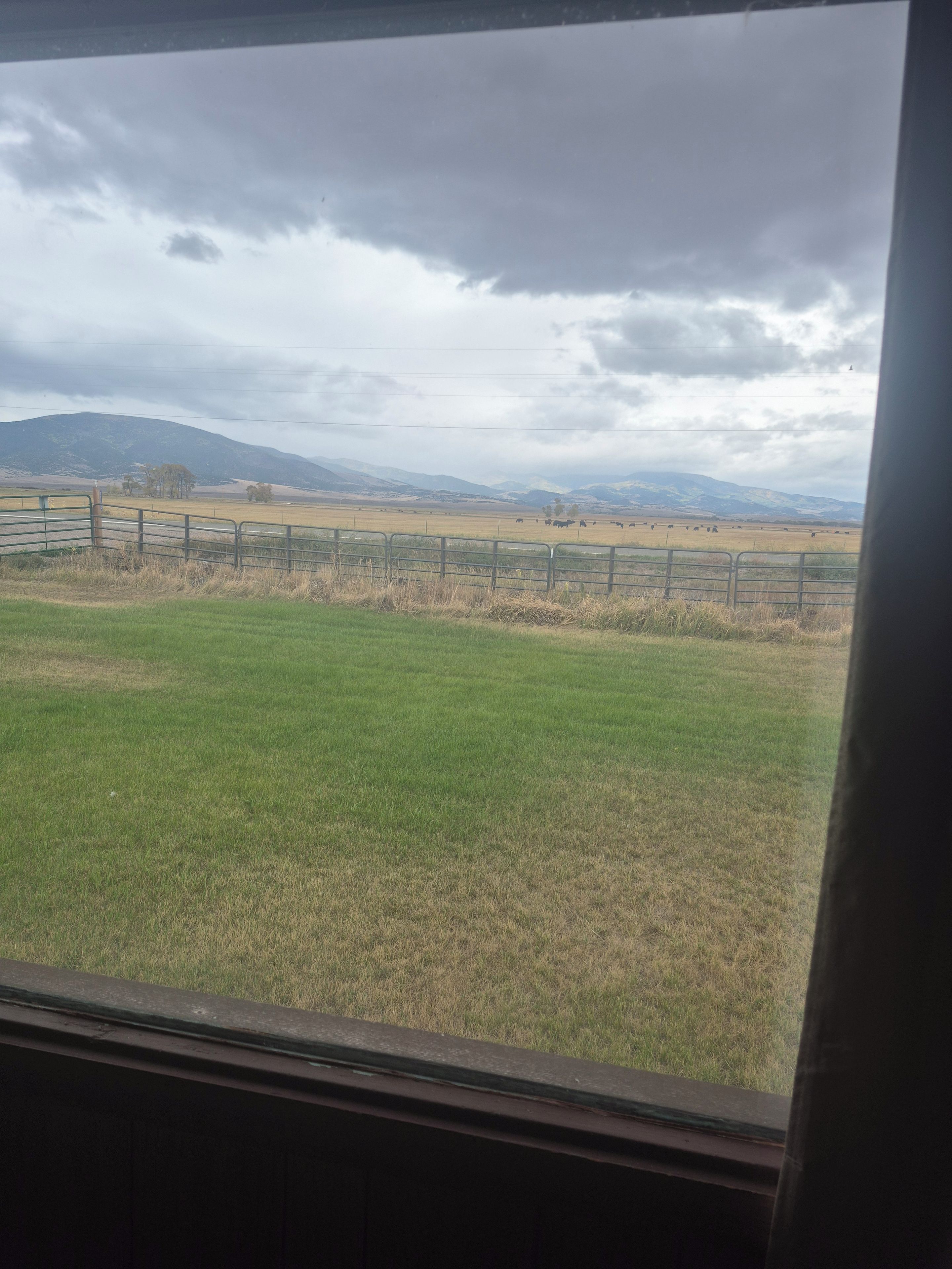 Blick durch ein Fenster auf ein grasbewachsenes Feld mit einem Zaun, einem bewölkten Himmel und ferne Hügel.