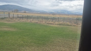Blick durch ein Fenster auf ein grasbewachsenes Feld mit einem Zaun, einem bewölkten Himmel und ferne Hügel.