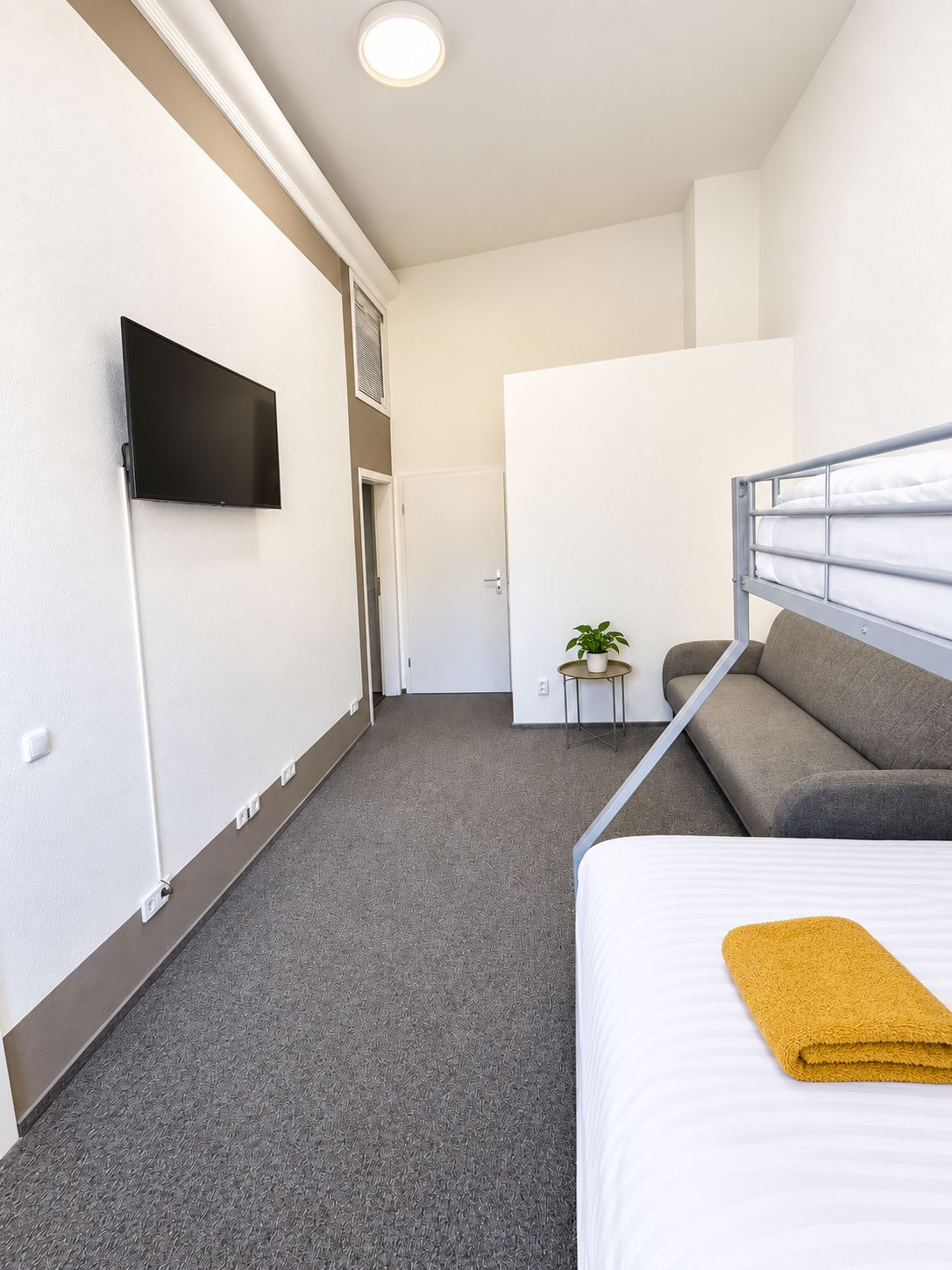 Une chambre d’hôtel avec un lit, un canapé, une télévision et une petite table sur laquelle est posée une plante.
