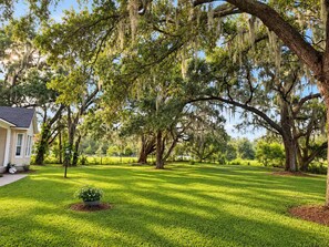 A residential property with a well-maintained lawn, mature trees with Spanish moss, and a house partially visible on the left.