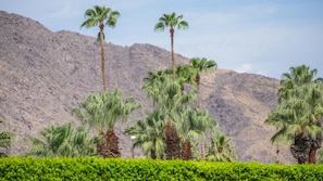 A landscape with palm trees and a mountainous backdrop. - Sunshine State of Mind | Palm Springs Studio (Palm Springs)