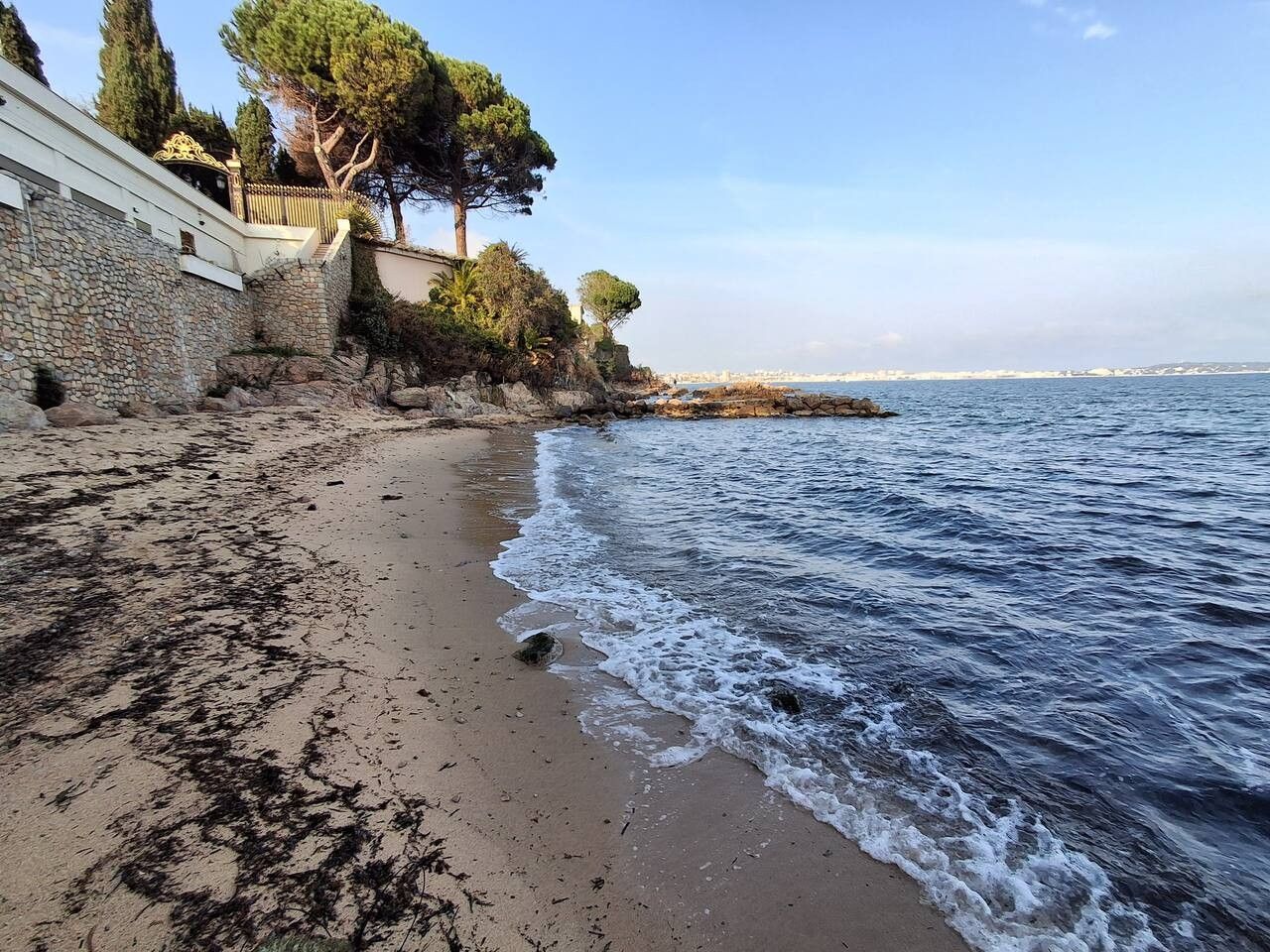 A coastal beach with a stone wall and trees.