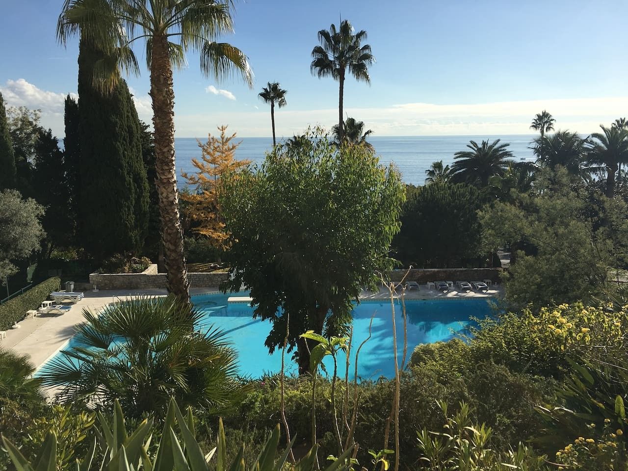 Une piscine entourée de palmiers et de cyprès, avec vue sur l’océan.