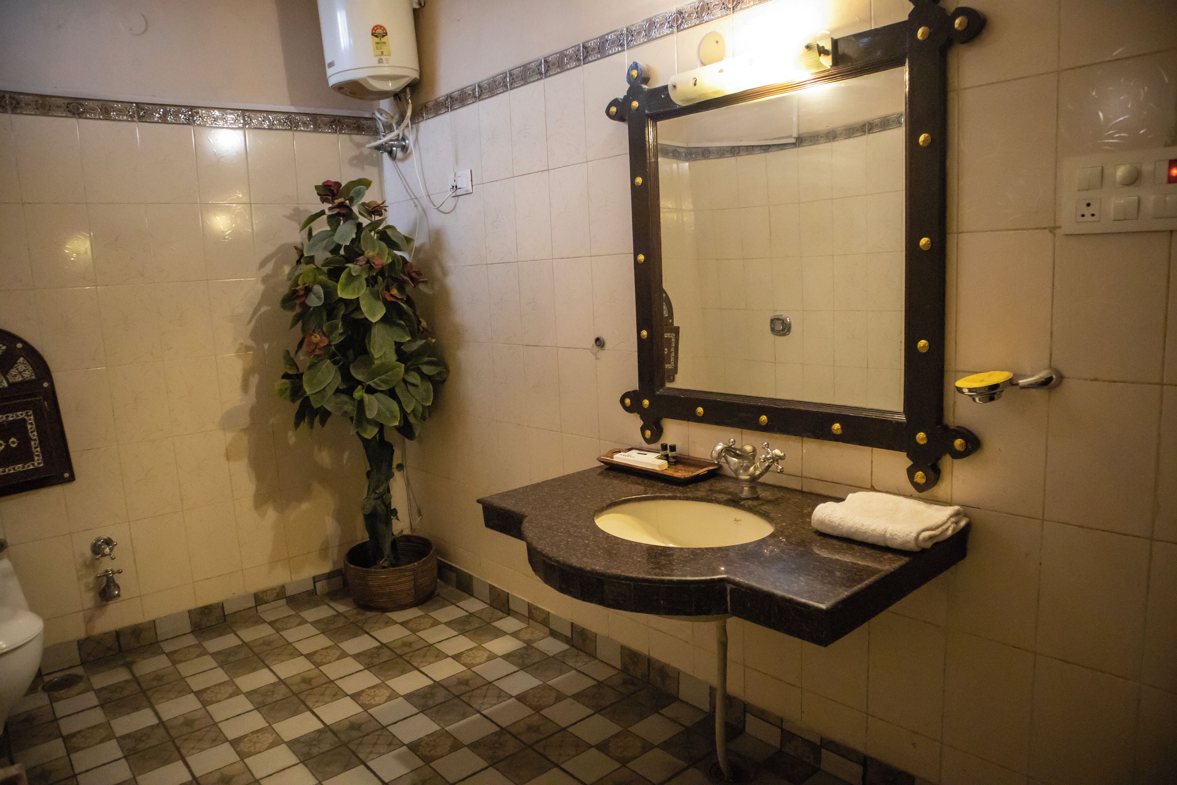 A bathroom with a sink, mirror, and potted plant.