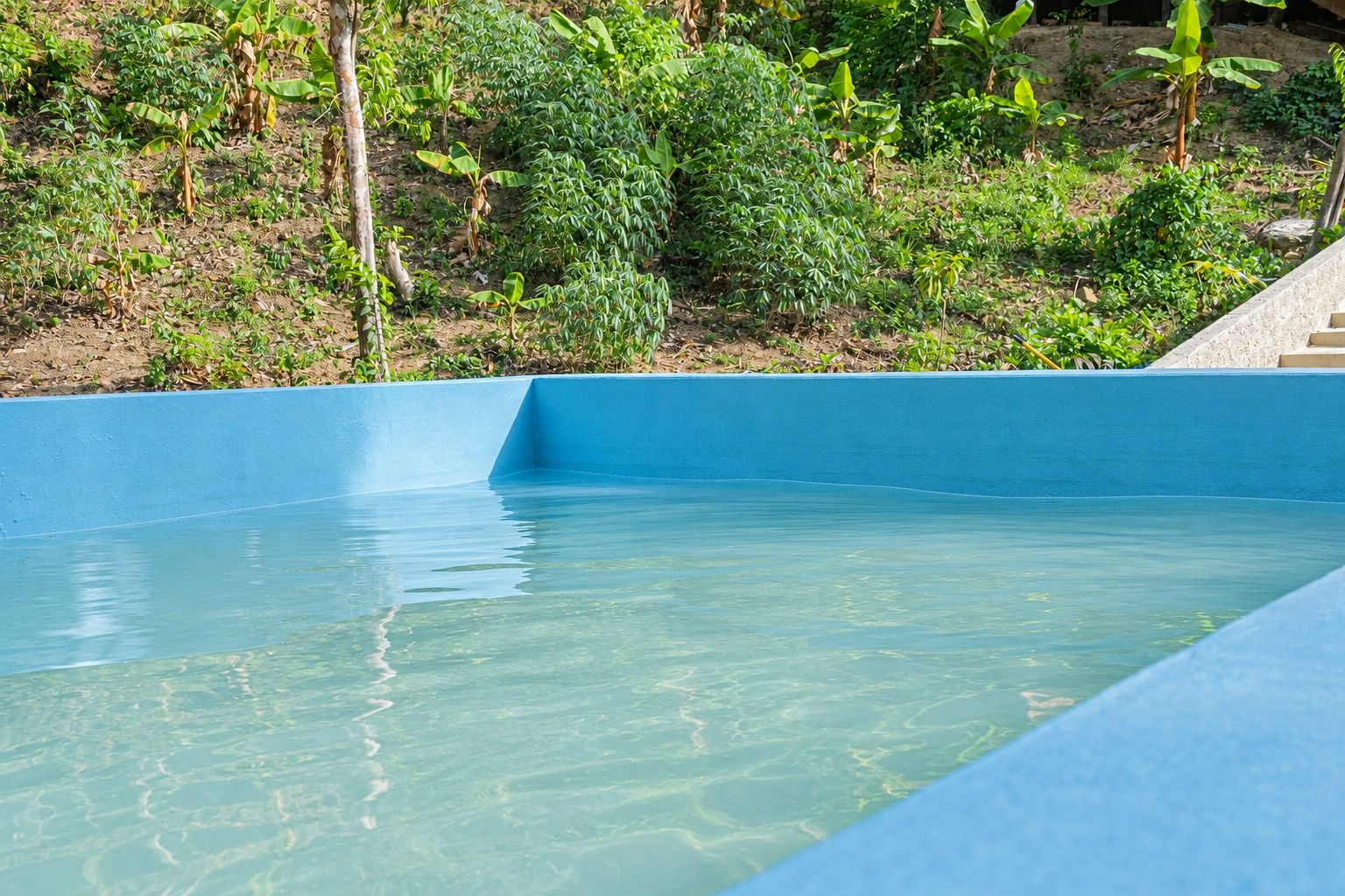 Piscina azul cristalina con borde de hormigón, rodeada de abundante vegetación.