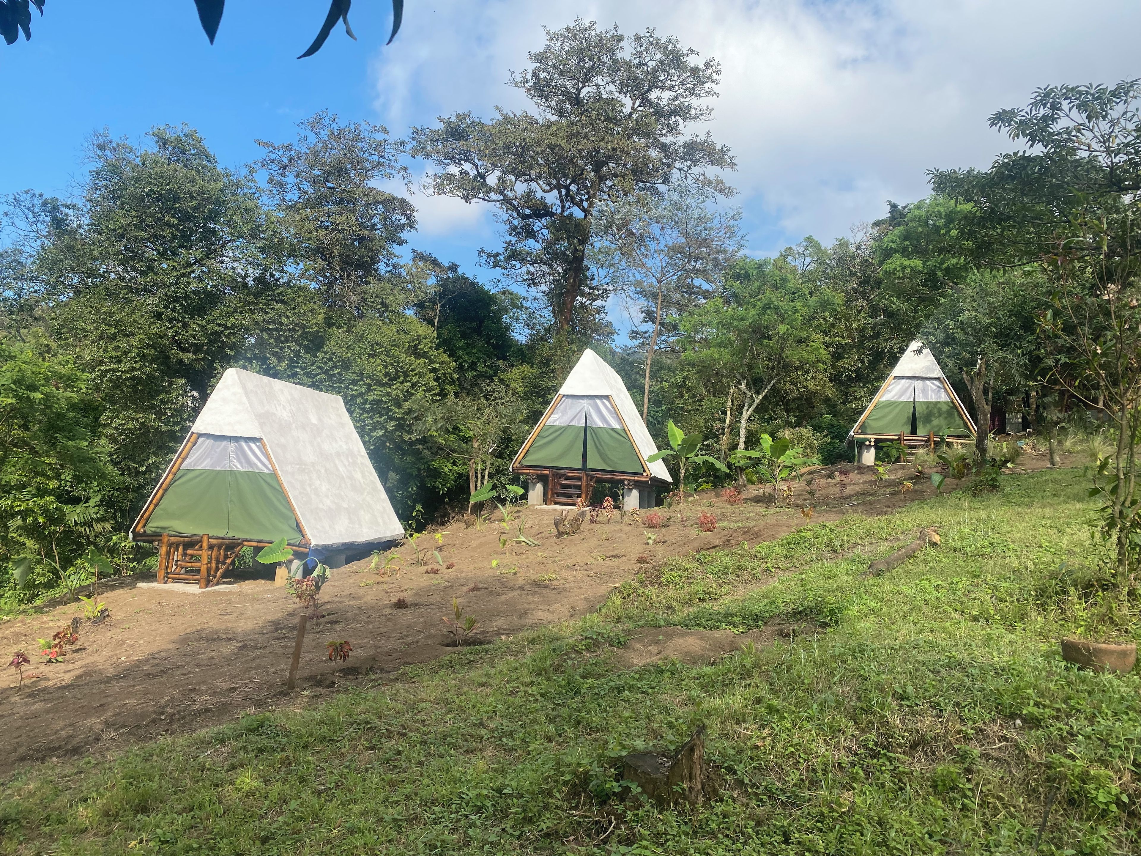 Three triangular tents with a simple design, set on a grassy slope surrounded by trees.