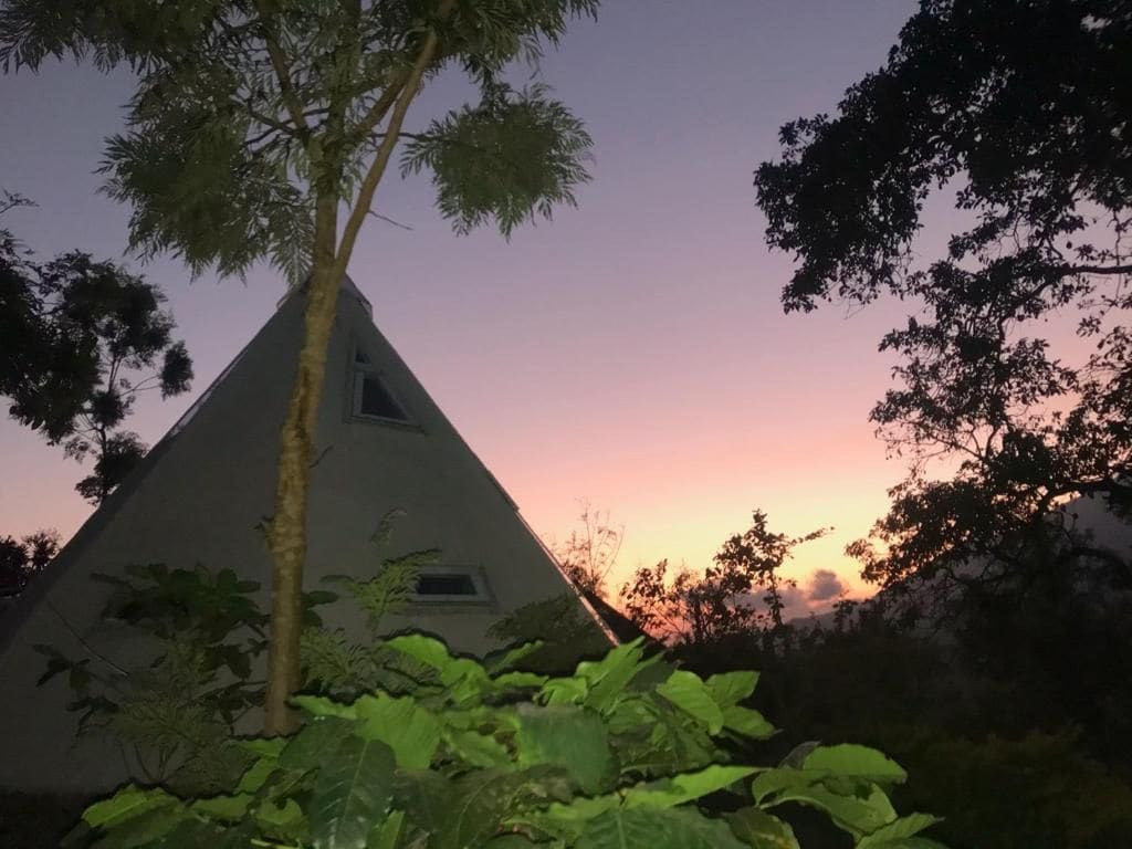 A triangular building with a flat roof, surrounded by dense foliage.