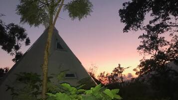 A triangular building with a flat roof, surrounded by dense foliage.