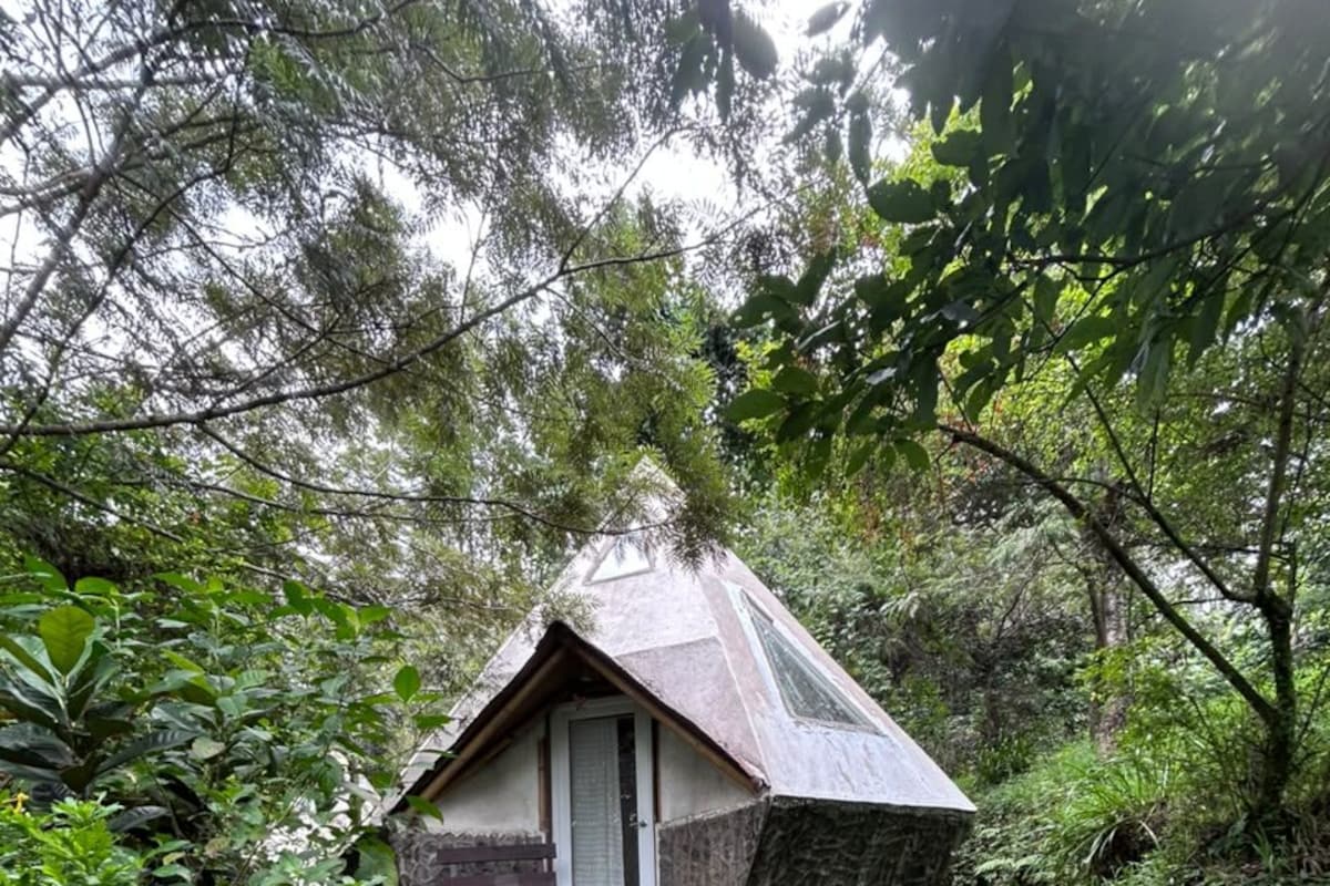 A small, rustic cabin nestled in a lush forest, surrounded by dense greenery.