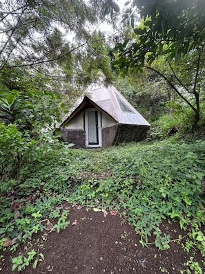 A small, rustic cabin nestled in a lush forest, surrounded by dense greenery.