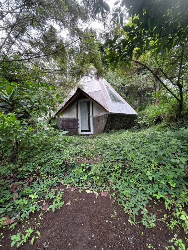 A small, rustic cabin nestled in a lush forest, surrounded by dense greenery. - Tonkiri Sanctuary (Alotenango)