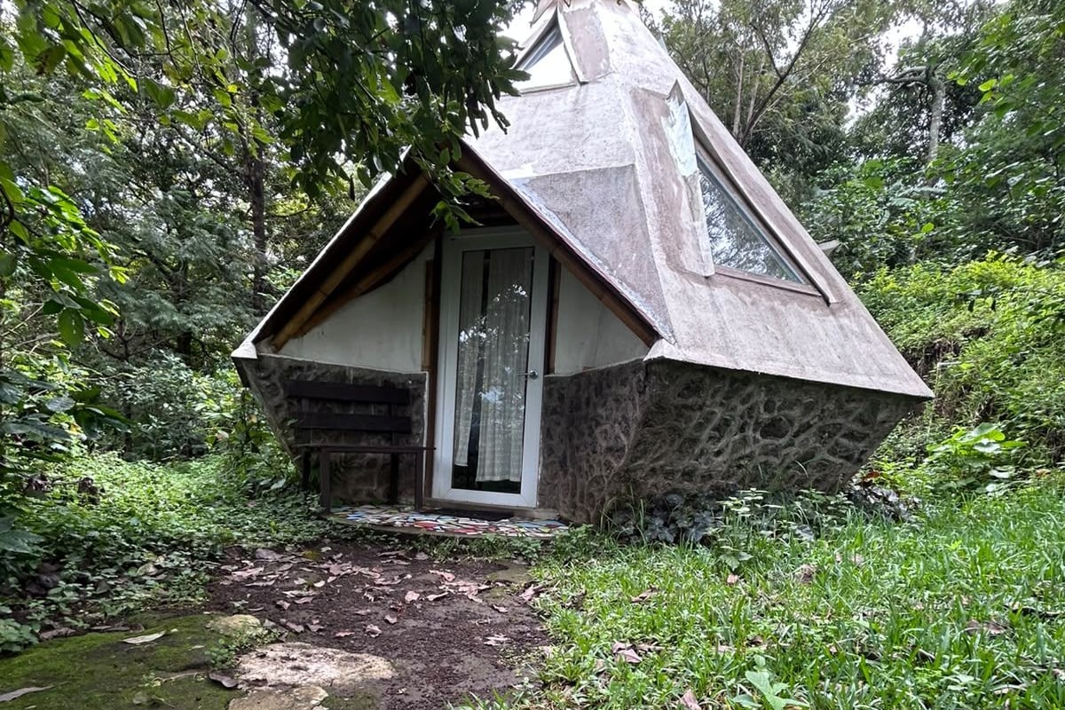 A small stone house with a sloped roof, surrounded by dense greenery and a mossy path leading to the entrance.