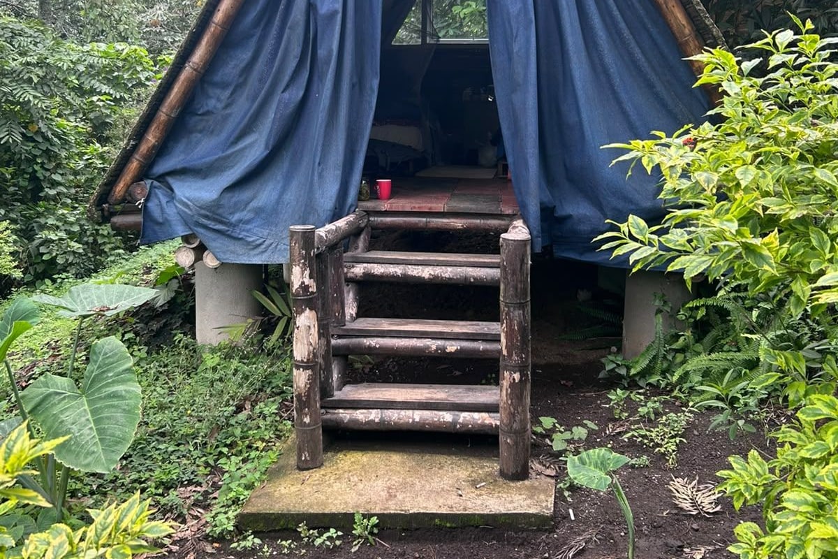 A thatched-roof tent with a wooden staircase leading up to it, surrounded by lush greenery.
