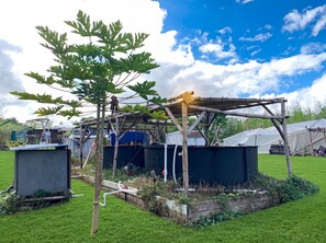 A rustic outdoor structure with a bamboo framework, a small garden area with a tree, and a blue tarp-covered object. - Peaceful 2BR Cottage in Keaau | Volcano & Beaches (Keaau)