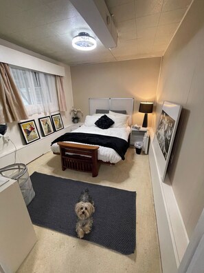 Une chambre d’hôtel avec un lit, une table de chevet, une lampe, des tableaux encadrés, un petit tapis et un chien.