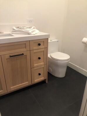 A bathroom with a white toilet, a sink with a mirror, and a cabinet with drawers. - Luxury 1-bedroom studio, pool, hot tub, 7 minutes from Coachella and stage coach (La Quinta)