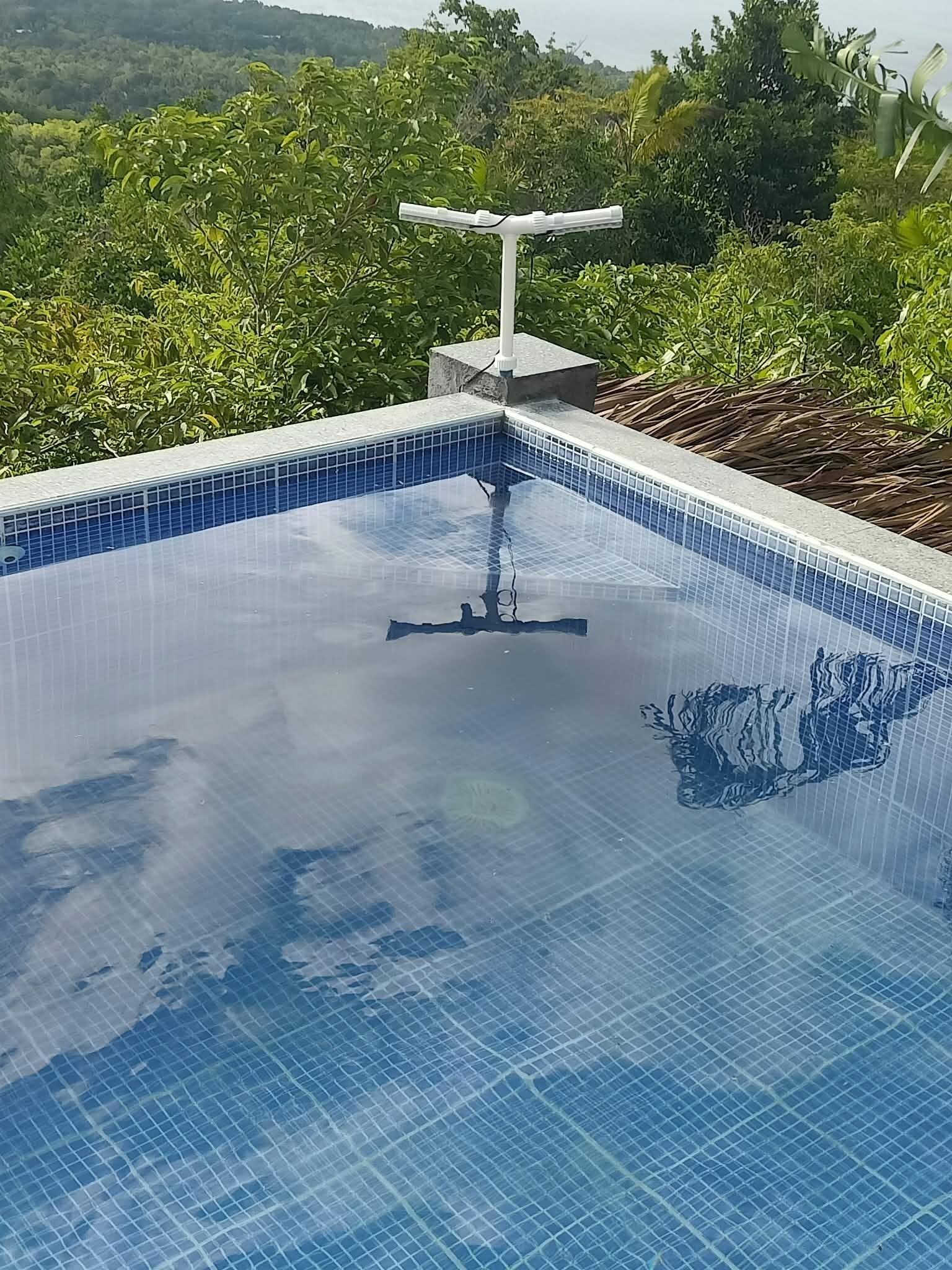 Une piscine d’un bleu éclatant, agrémentée d’une fontaine centrale, et entourée d’une végétation luxuriante.