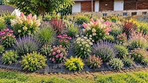 Ein Garten mit verschiedenen blühenden Pflanzen und Sträuchern, die in einem Kreis angeordnet sind.