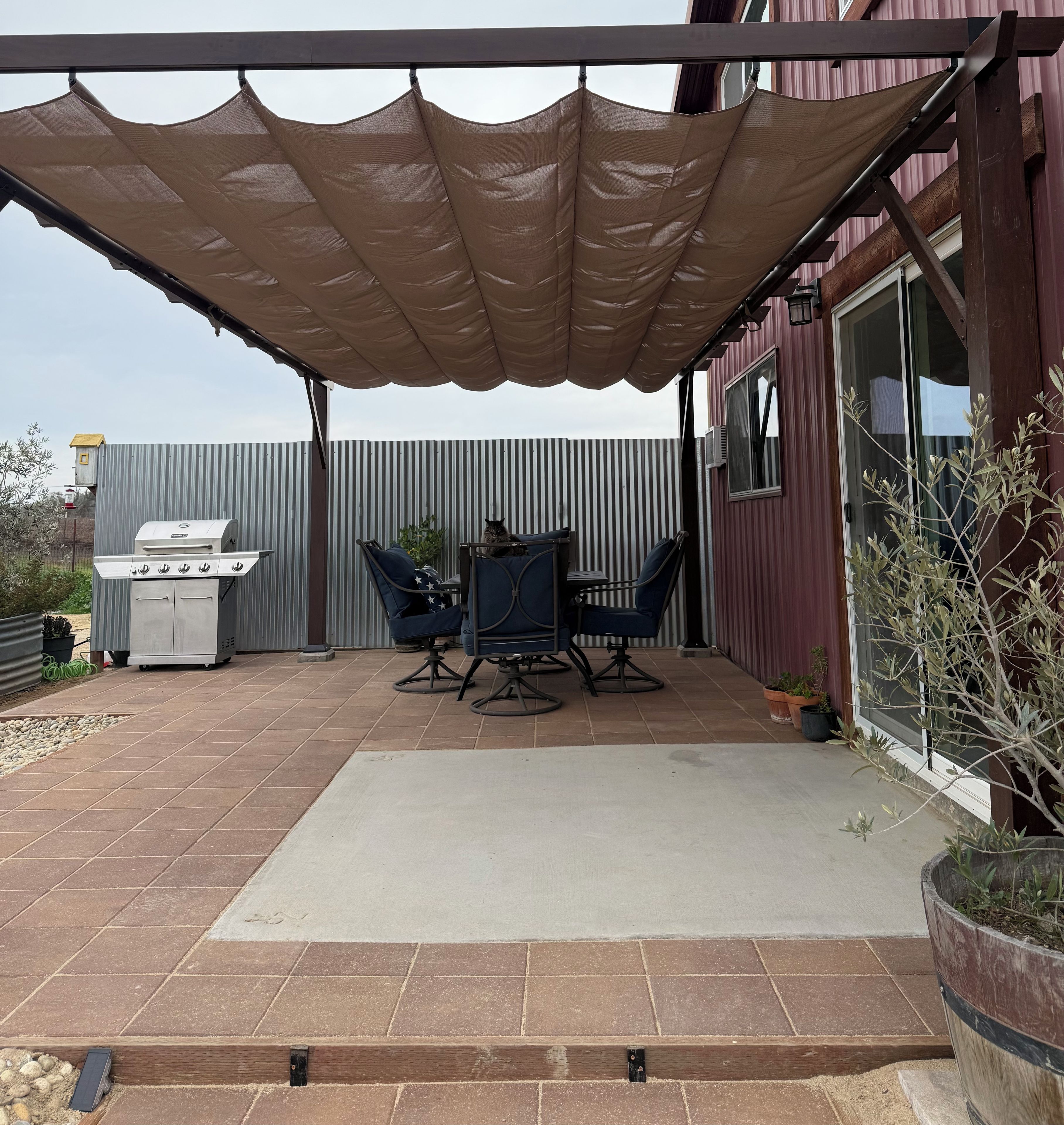An outdoor patio with a barbecue grill, two chairs, a table, and a large potted plant.