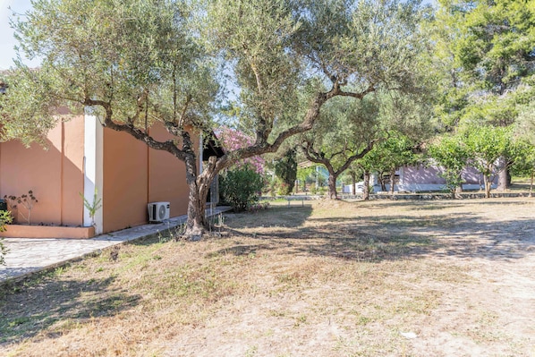 A building with a paved pathway and a tree in front.