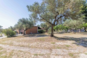 A property with a stone patio, olive trees, and a building with a brown facade.