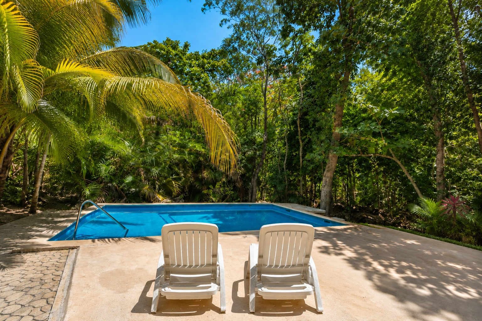 A swimming pool with two white lounge chairs facing it, surrounded by lush greenery.