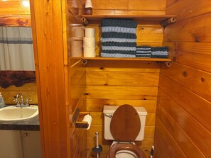 Bathroom - 2-bedroom cabin in gorgeous Fancy Gap with AC and charm (Fancy Gap)