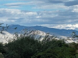 Eine Berglandschaft mit dichtem Wald im Vordergrund und einer Bergkette in der Ferne.