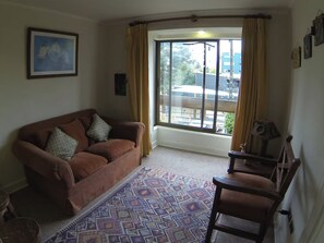 Ein Wohnzimmer mit braunem Sofa, einem gemusterten Teppich und Blick durch ein großes Fenster.