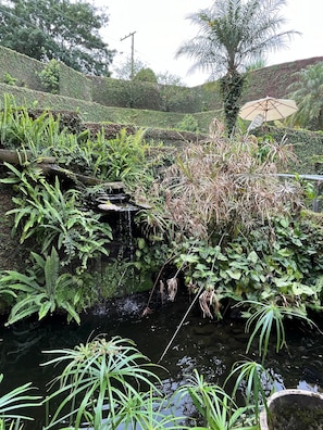 A garden with a small pond, lush greenery, and a palm tree. - House of the Master Brewer (Blumenau)